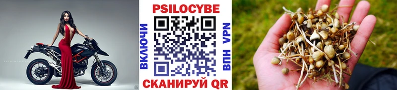 ОМГ ОМГ зеркало  Королёв  Галлюциногенные грибы MAGIC MUSHROOMS 