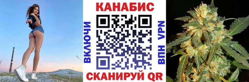где найти   Королёв  Каннабис SATIVA & INDICA 